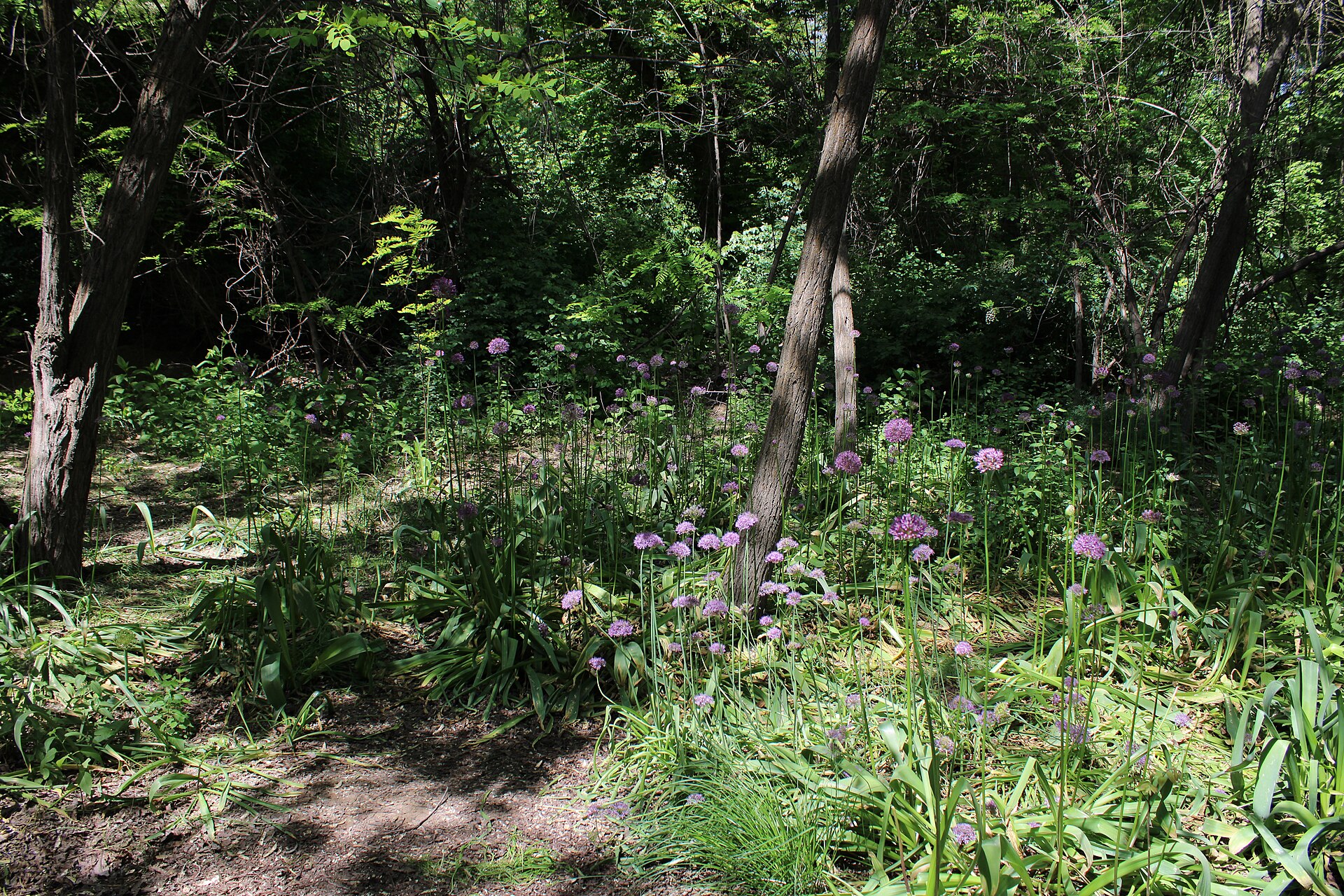 Botanical Garden
