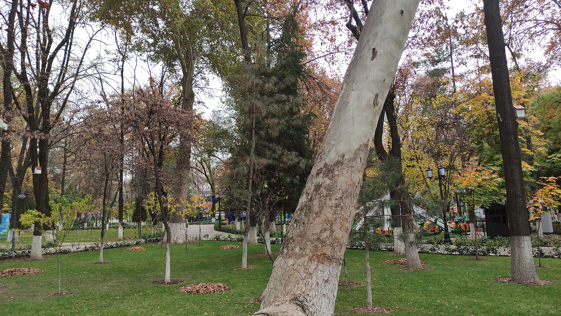 Gafur Gulam Park